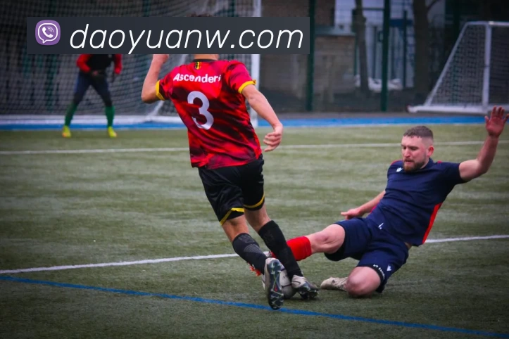 华体会官网发展历程